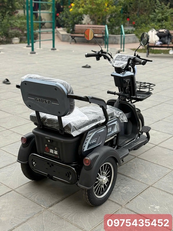 Xe Điện 3 Bánh E - Bike Nhập Khẩu