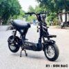 Xe Điện Yaka R1 - Xe Đạp Điện M133 Bình To Chính Hãng