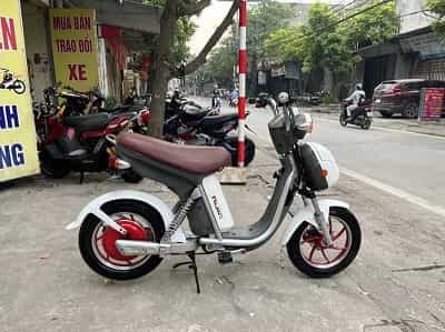 Xe đạp điện Nijia cũ