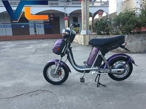Xe Đạp Điện Nijia Cũ