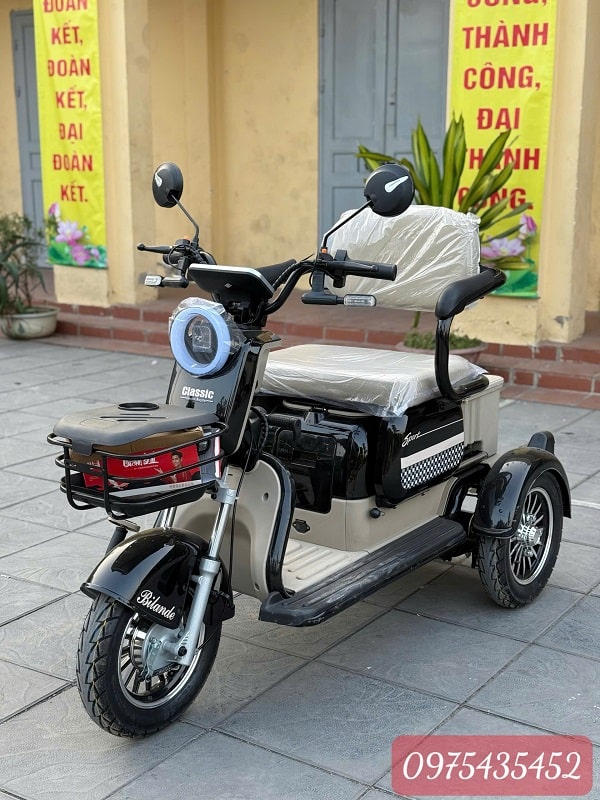 Xe Điện 3 Bánh Nhập Khẩu Cũ