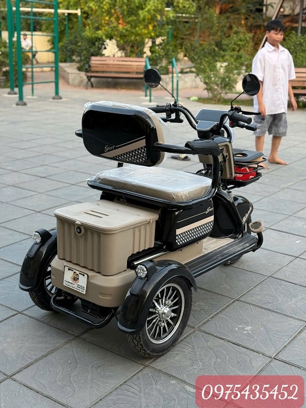 Xe Điện 3 Bánh Nhập Khẩu Cũ