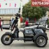 Xe Điện 3 Bánh E - Bike Nhập Khẩu