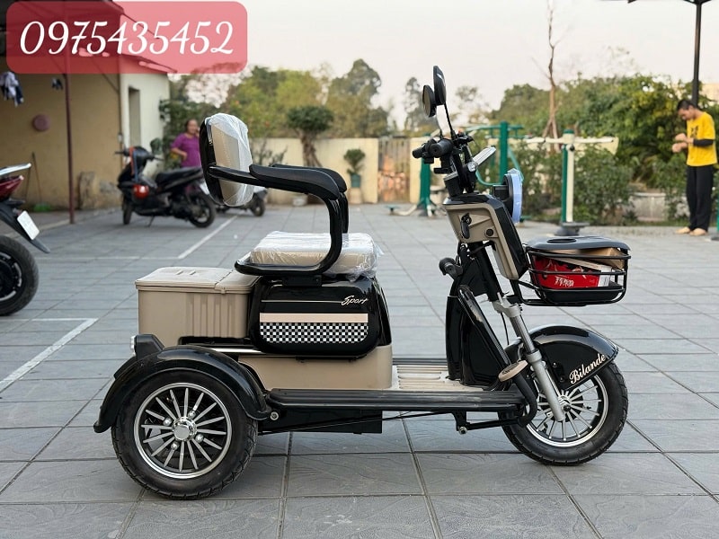 Xe Điện 3 Bánh Nhập Khẩu Cũ