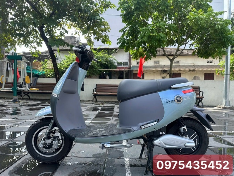 Xe Máy Điện Dibao Gogo S5S Cũ