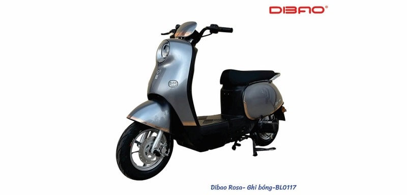 Xe Máy Điện Dibao Rosa Cũ