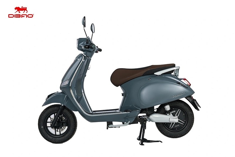Xe Máy Điện Dibao Tesla Dio Cũ