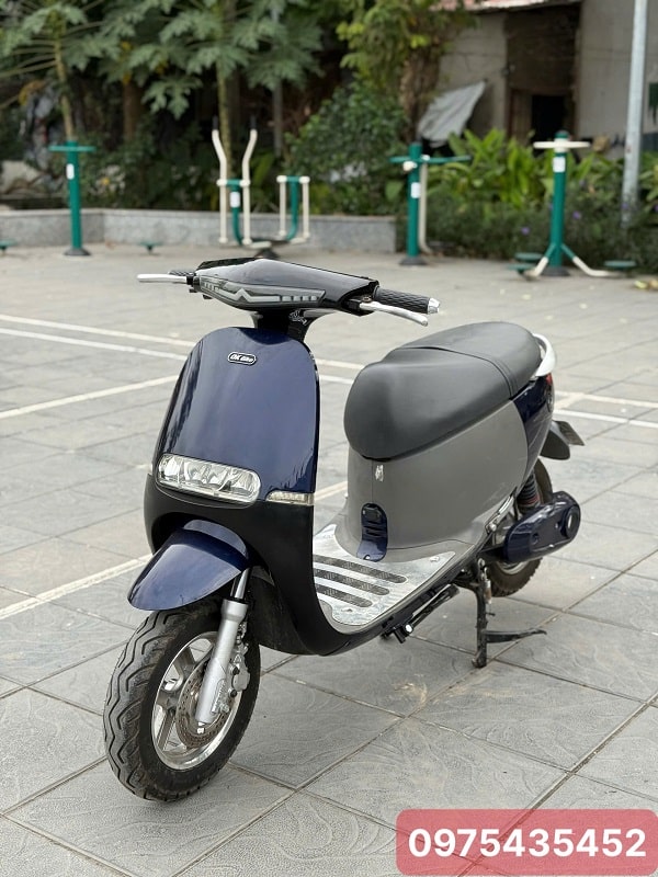 Xe Máy Điện Dk Gogo Cũ