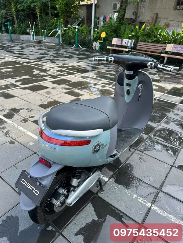 Xe máy điện Dibao Gogo S5S cũ