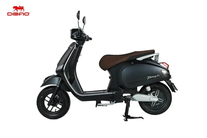 Xe Máy Điện Dibao Pansy Dio Cũ