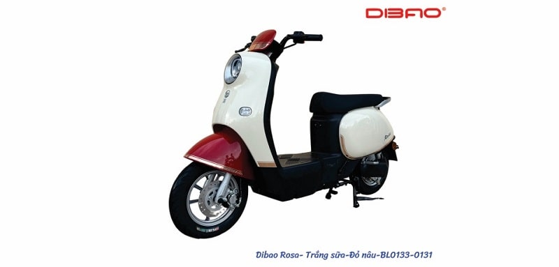 Xe Máy Điện Dibao Rosa Cũ