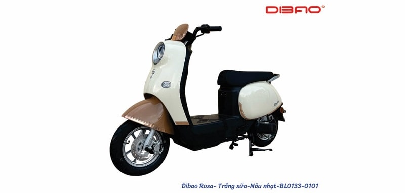 Xe Máy Điện Dibao Rosa Cũ