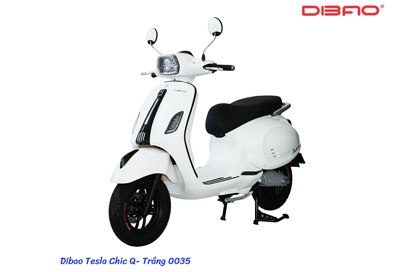 Xe Máy Điện Dibao Tesla Chic Q Cũ