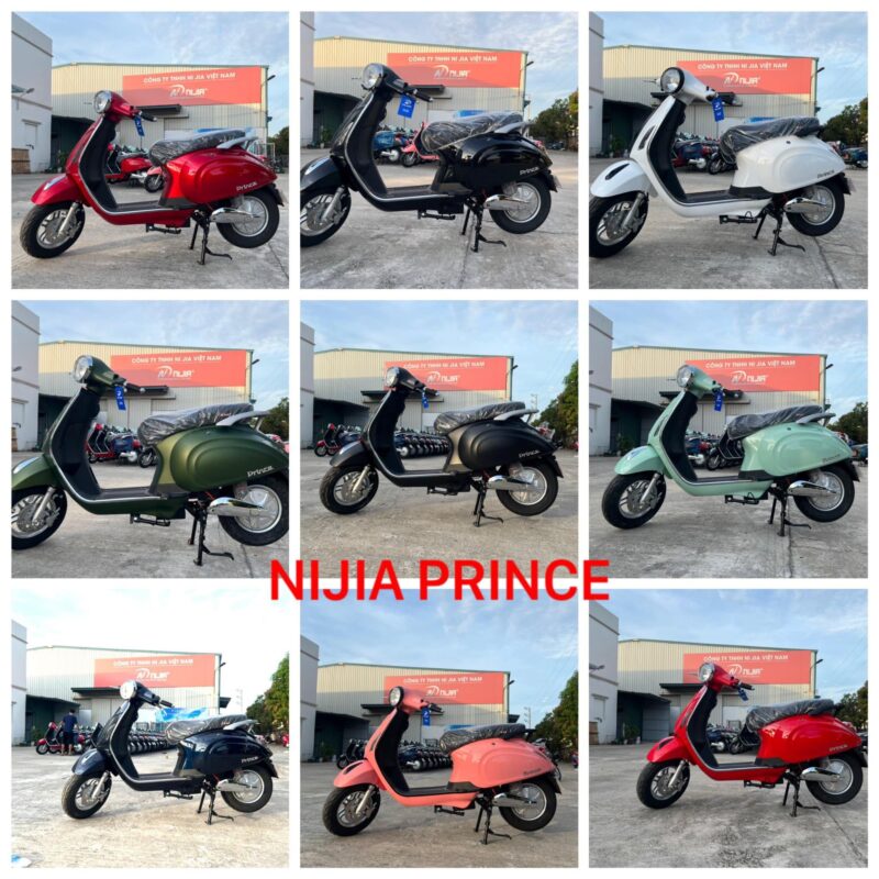 Bảng Màu Xe Máy Điện Vespa Nijia Prince