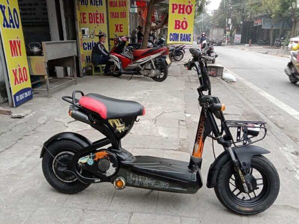 xe đạp điện giant cũ