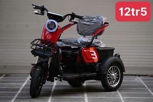 xe điện 3 bánh giá rẻ